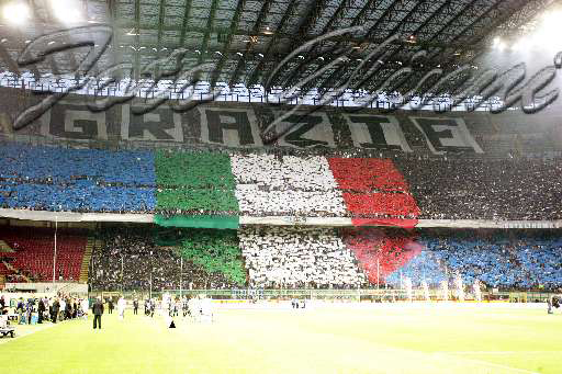 Foto #16